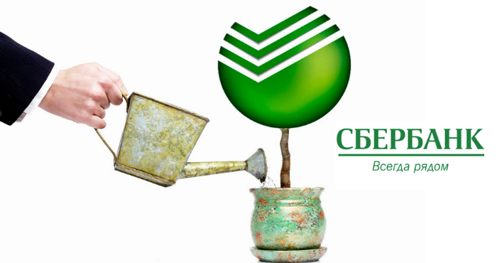Вклады сбербанка для физических лиц в 2019 году, процентные ставки Вклады сбербанка для физических лиц в 2019 году, процентные ставки