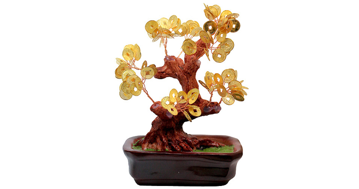 денежное дерево